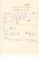 遼東蒲公英藏品圖，第2張