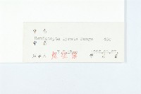 泥胡菜藏品圖，第3張