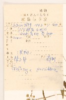 小米菊藏品圖，第2張