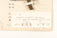 登錄號:S026448藏品圖，第2張