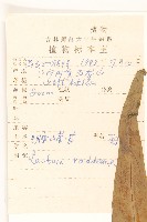 毛脈山蒿苣藏品圖，第2張