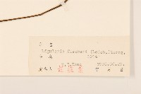 登錄號:S026478藏品圖，第3張