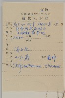 小紅菊藏品圖，第2張