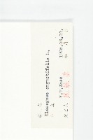 銀柳藏品圖，第3張