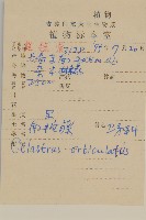 南蛇藤藏品圖，第2張