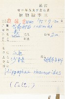 沙棘藏品圖，第2張