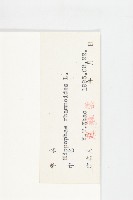 沙棘藏品圖，第3張