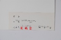 扭筋槭藏品圖，第2張