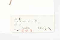 輪葉景天藏品圖，第3張