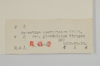 卷耳藏品圖，第3張