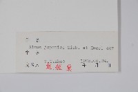 赤楊、臺灣赤楊、台北赤楊、水柯子、水柳柯藏品圖，第2張