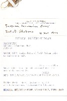 連明子、穀菜藏品圖，第2張