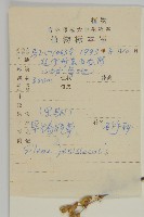 山螞蚱藏品圖，第2張