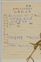 長柱蠅子草藏品圖，第2張