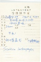 細葉藍盆花藏品圖，第2張