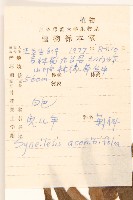 兔兒傘藏品圖，第2張