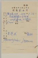 關蒼朮藏品圖，第2張