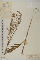 登錄號:S026890藏品圖，第1張
