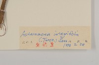 登錄號:S026890藏品圖，第3張