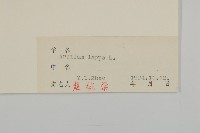 牛蒡藏品圖，第3張