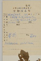 庵蒿藏品圖，第2張