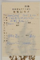 黃蒿藏品圖，第2張