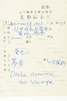 葶藶藏品圖，第2張