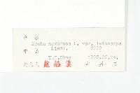 葶藶藏品圖，第3張