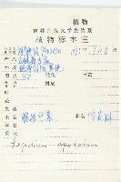 腺獨行菜藏品圖，第2張