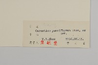 寄奴花藏品圖，第3張