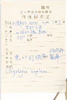 寬葉打碗花藏品圖，第2張