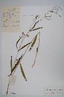 登錄號:S027225藏品圖，第1張