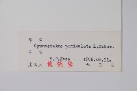 登錄號:S027225藏品圖，第2張