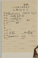 艾蒿藏品圖，第2張