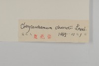 小紅菊藏品圖，第3張