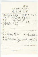 鈍葉瓦松藏品圖，第2張