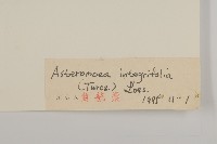 登錄號:S027363藏品圖，第3張