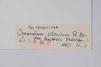 雀飄藏品圖，第2張