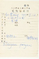 胡頹子藏品圖，第2張