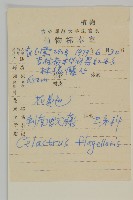 刺苞南蚊藤藏品圖，第2張