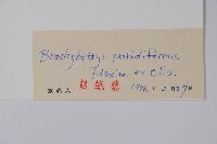 山茄子藏品圖，第2張