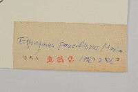 瘤枝衛矛藏品圖，第3張