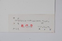 附地菜藏品圖，第2張