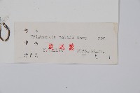 森林附地菜藏品圖，第2張