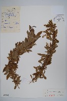 登錄號:S027562藏品圖，第1張