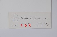 登錄號:S027562藏品圖，第2張