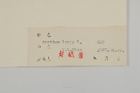 牛蒡藏品圖，第3張