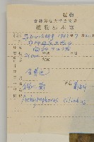 貓兒菊藏品圖，第2張