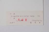 變色白前藏品圖，第2張