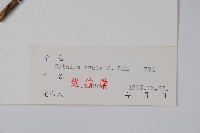 梓樹藏品圖，第2張